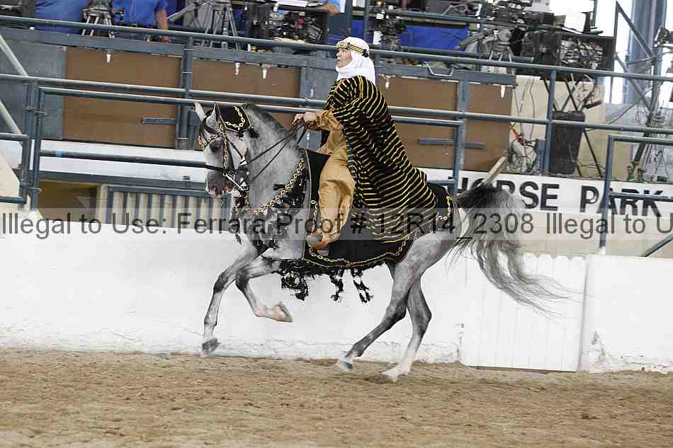 Proof Number 12r14_2308