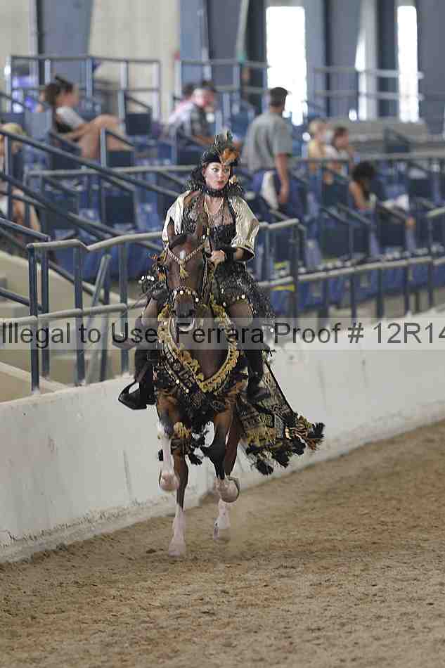 Proof Number 12r14_2309