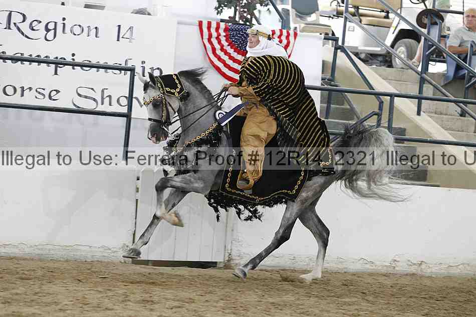 Proof Number 12r14_2321