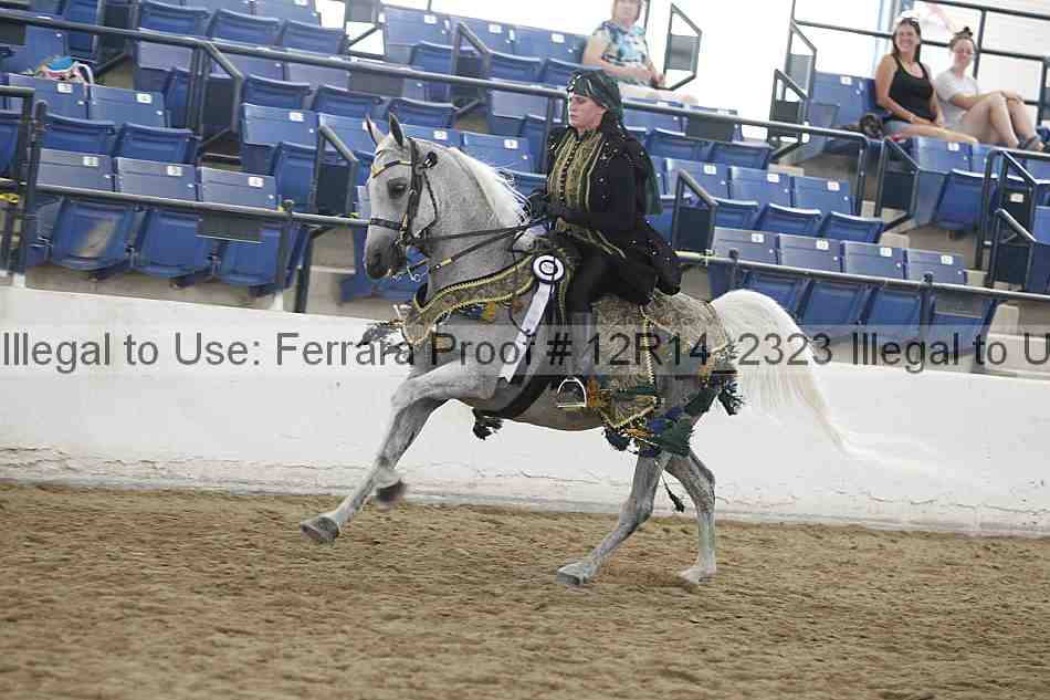 Proof Number 12r14_2323