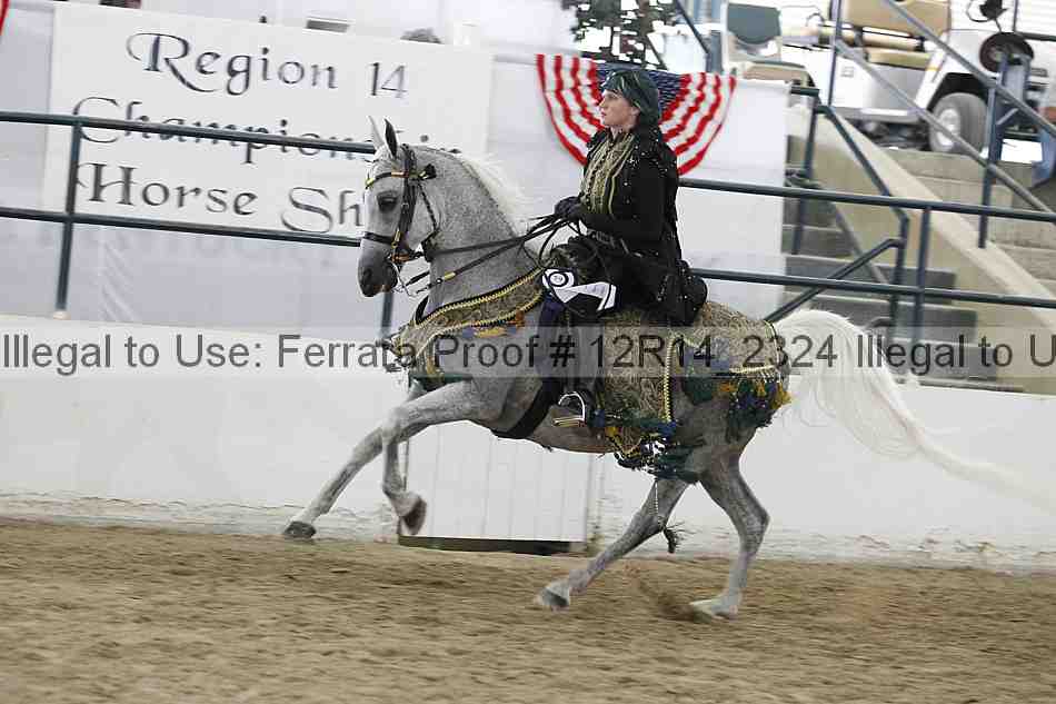 Proof Number 12r14_2324