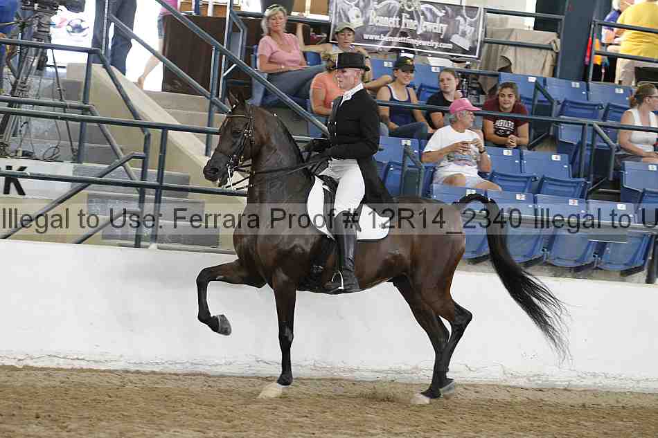 Proof Number 12r14_2340
