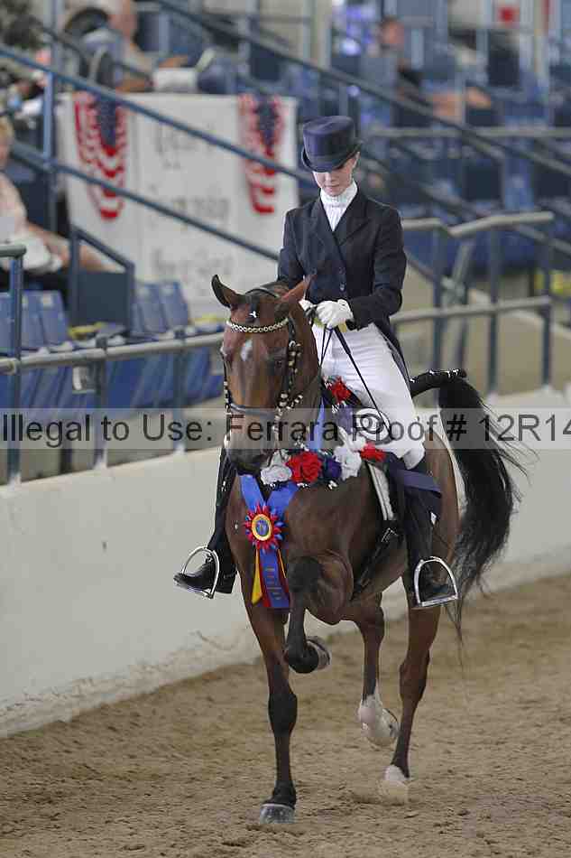 Proof Number 12r14_2372