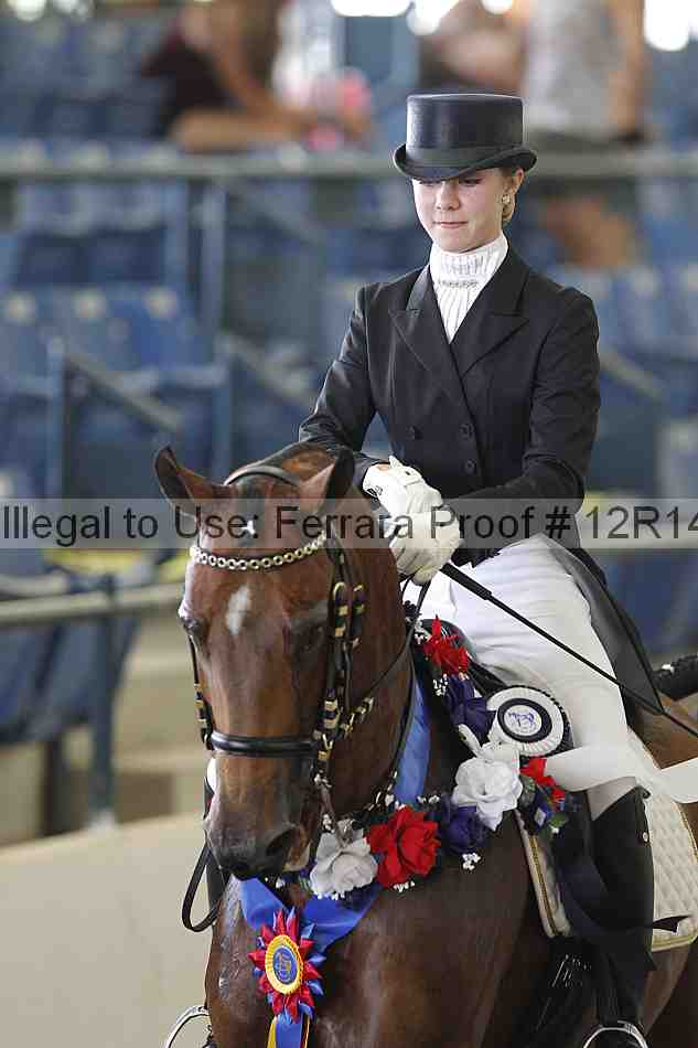 Proof Number 12r14_2373