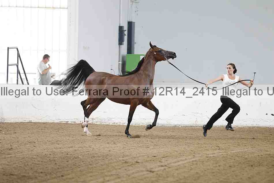 Proof Number 12r14_2415