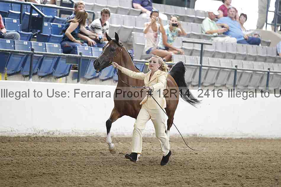Proof Number 12r14_2416