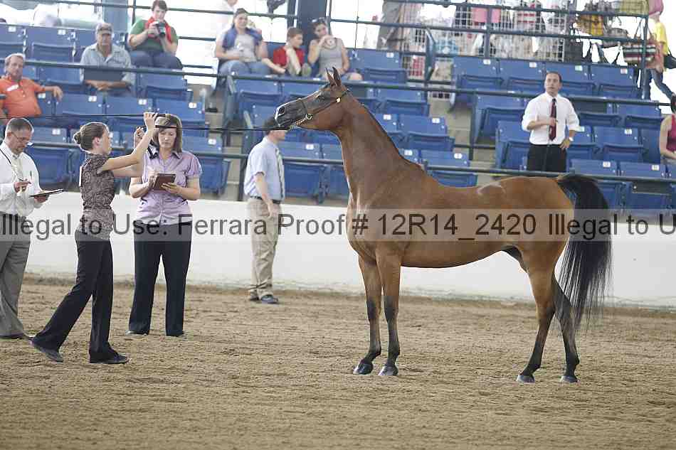 Proof Number 12r14_2420