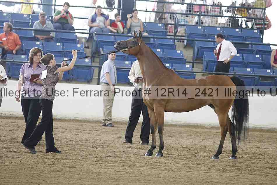Proof Number 12r14_2421