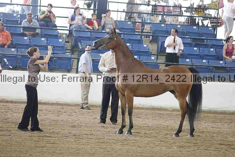Proof Number 12r14_2422