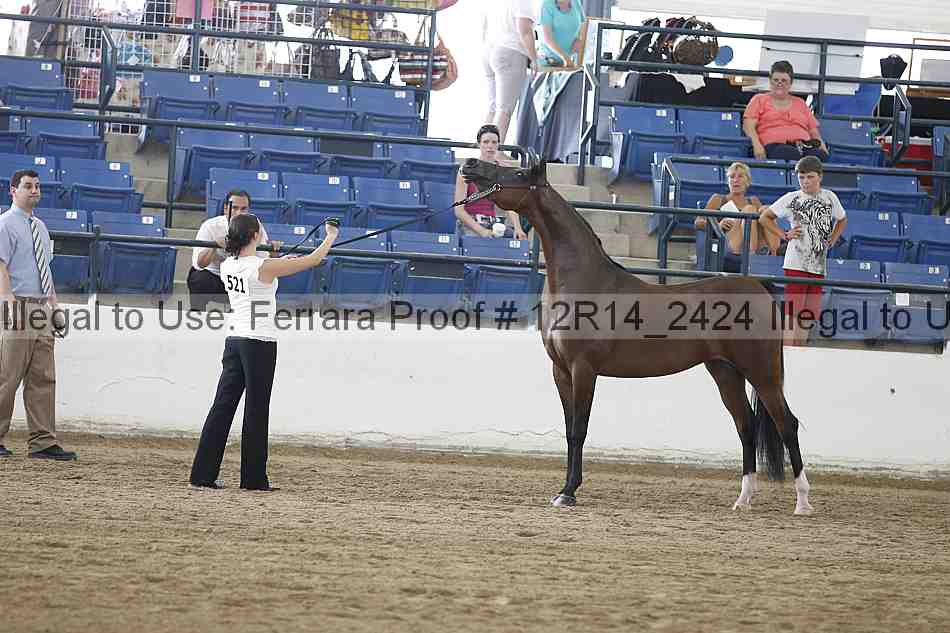 Proof Number 12r14_2424