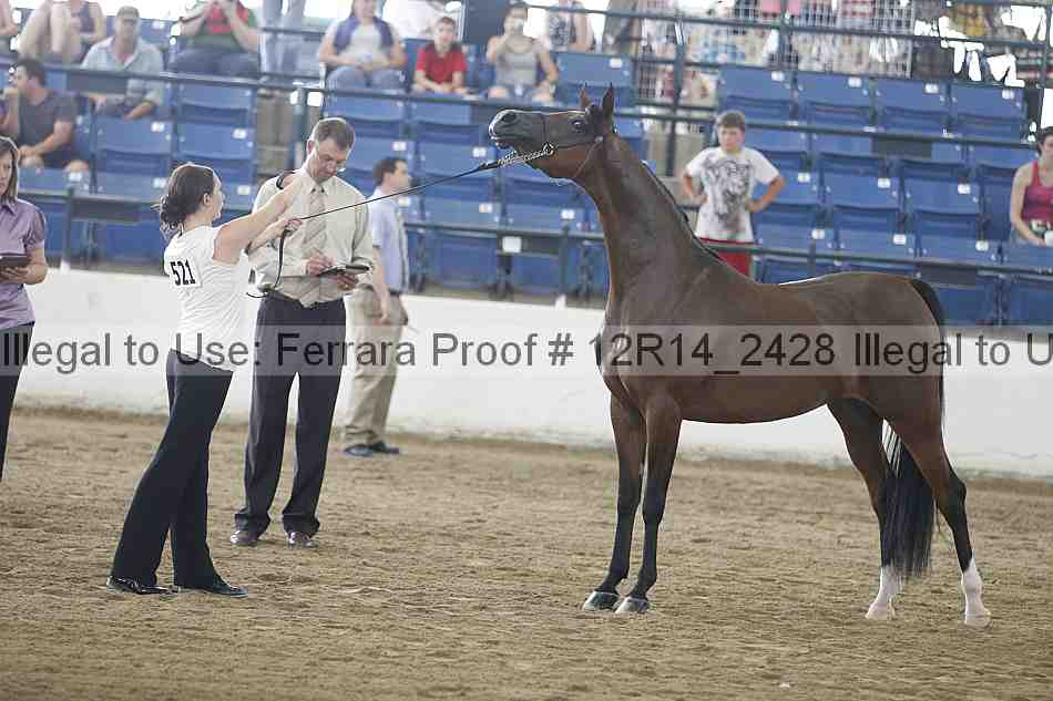 Proof Number 12r14_2428