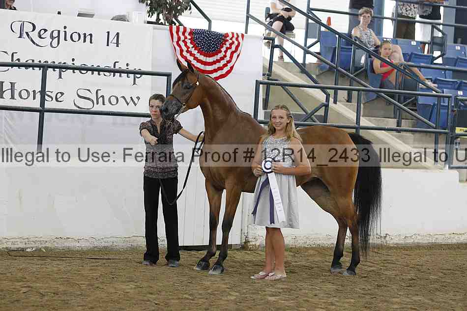Proof Number 12r14_2433