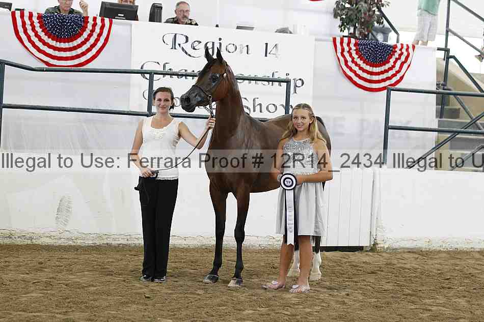 Proof Number 12r14_2434