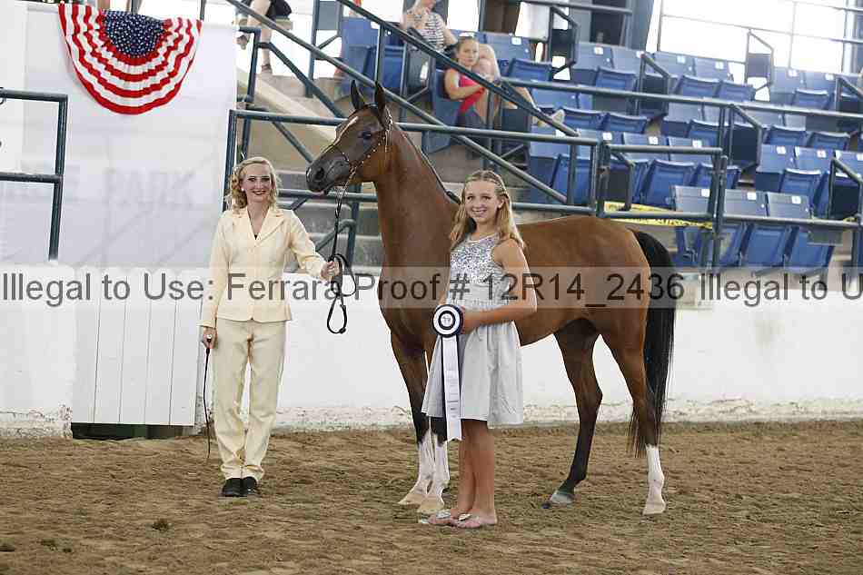 Proof Number 12r14_2436