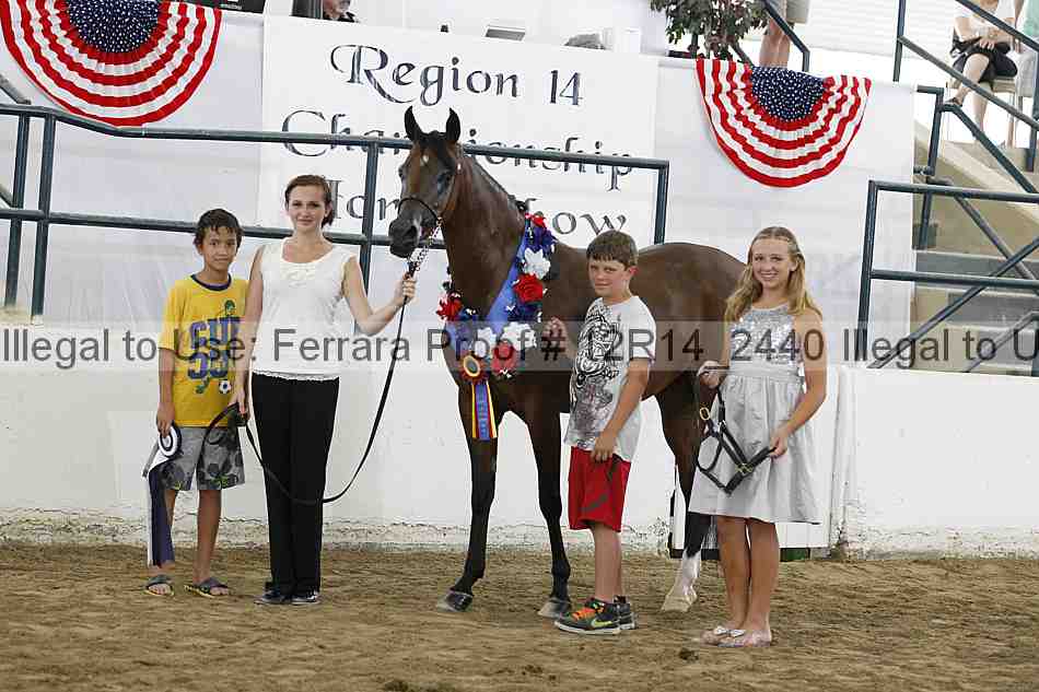 Proof Number 12r14_2440