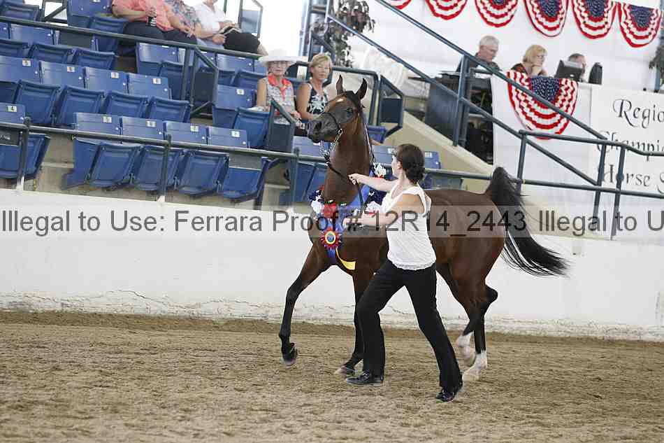Proof Number 12r14_2443