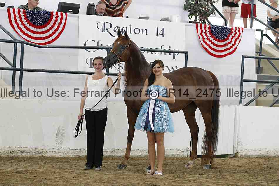 Proof Number 12r14_2475