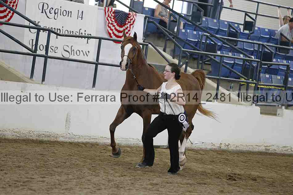 Proof Number 12r14_2481