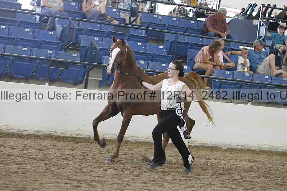 Proof Number 12r14_2482
