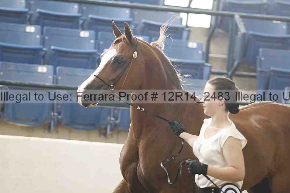 Proof Number 12r14_2483