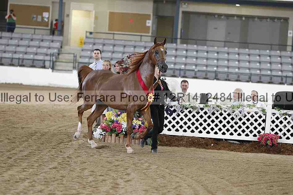Proof Number 12r14_2484