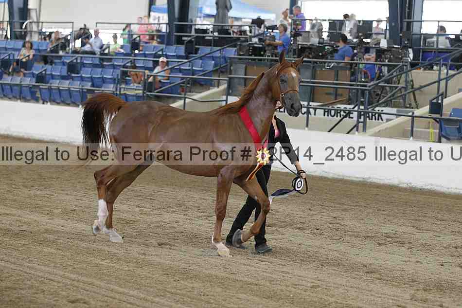 Proof Number 12r14_2485