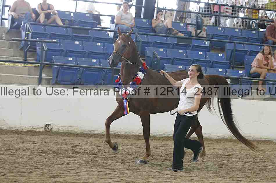 Proof Number 12r14_2487