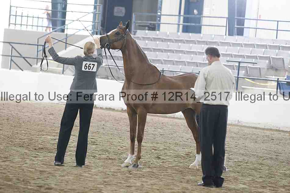Proof Number 12r14_2517