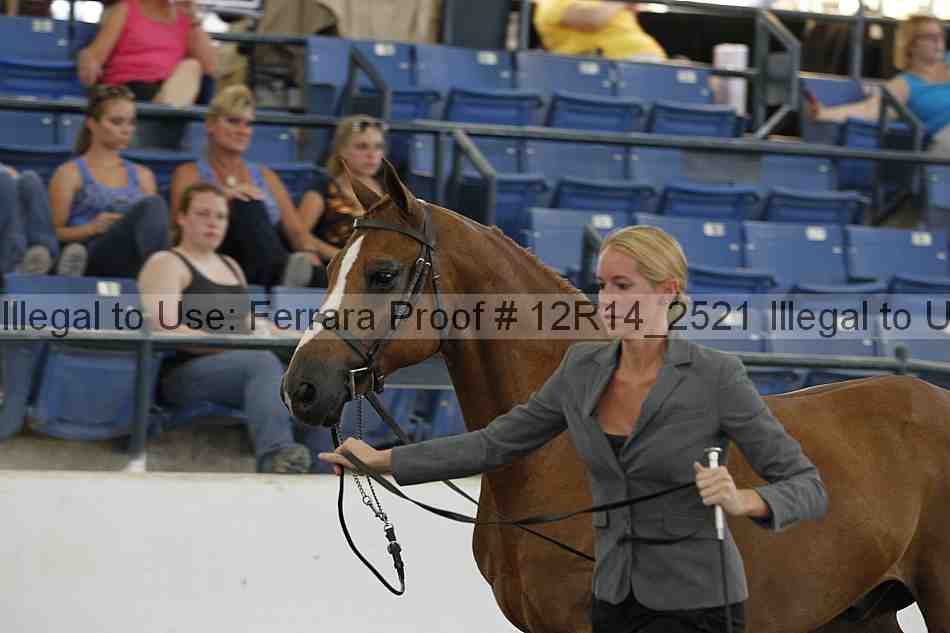 Proof Number 12r14_2521