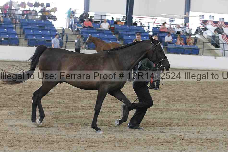 Proof Number 12r14_2524