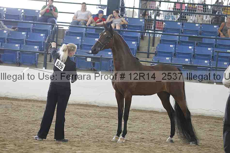 Proof Number 12r14_2537