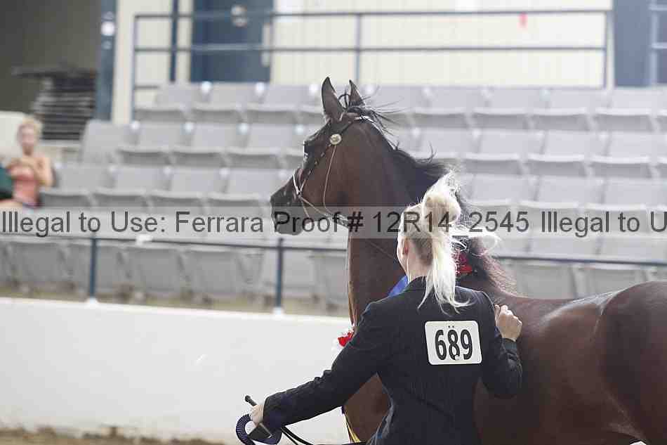 Proof Number 12r14_2545