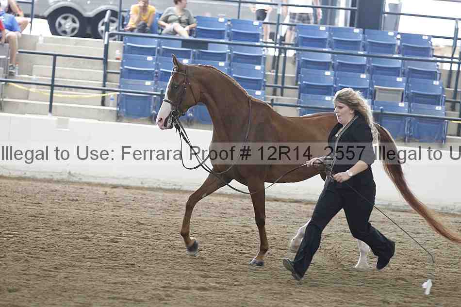 Proof Number 12r14_2557