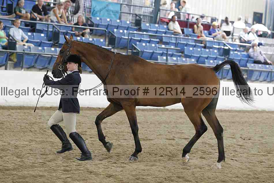 Proof Number 12r14_2596