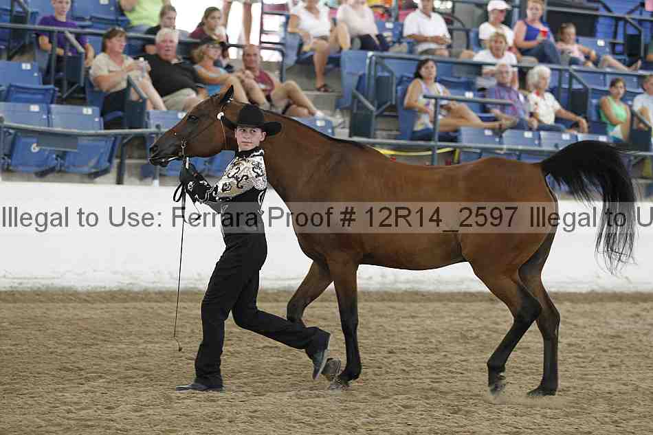 Proof Number 12r14_2597