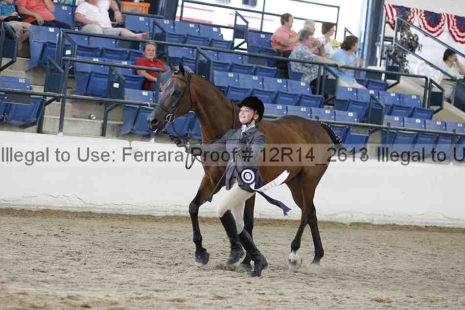 Proof Number 12r14_2613