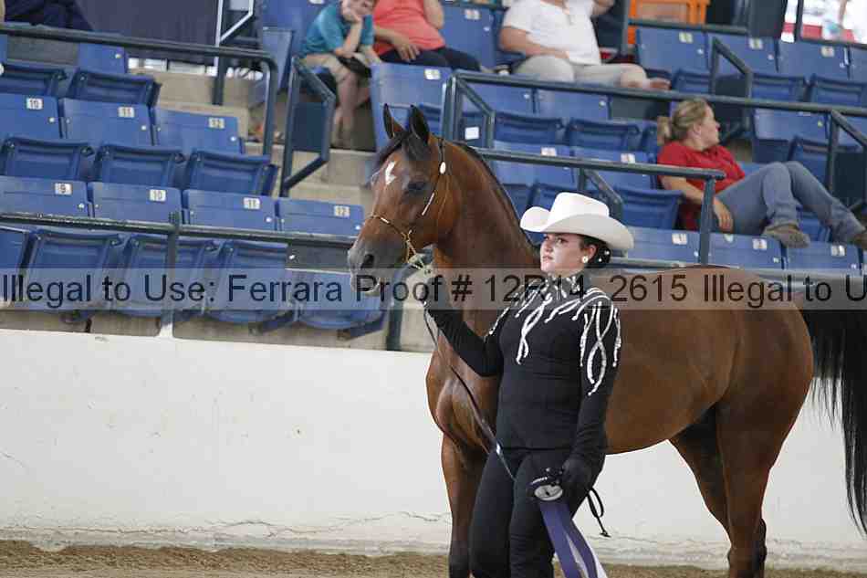 Proof Number 12r14_2615