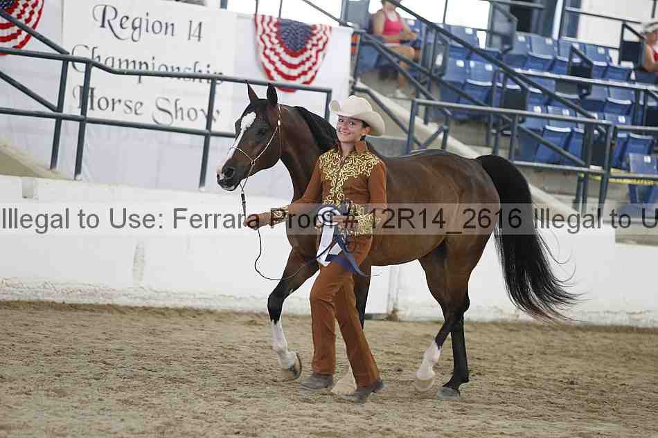 Proof Number 12r14_2616
