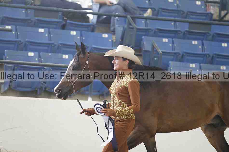 Proof Number 12r14_2618