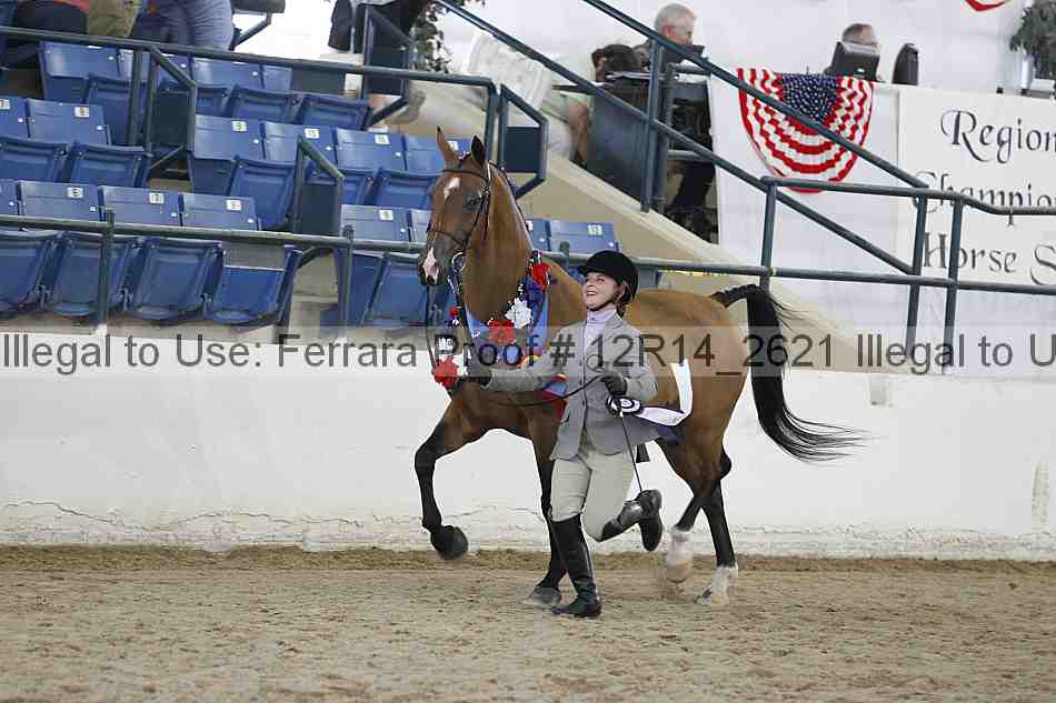 Proof Number 12r14_2621