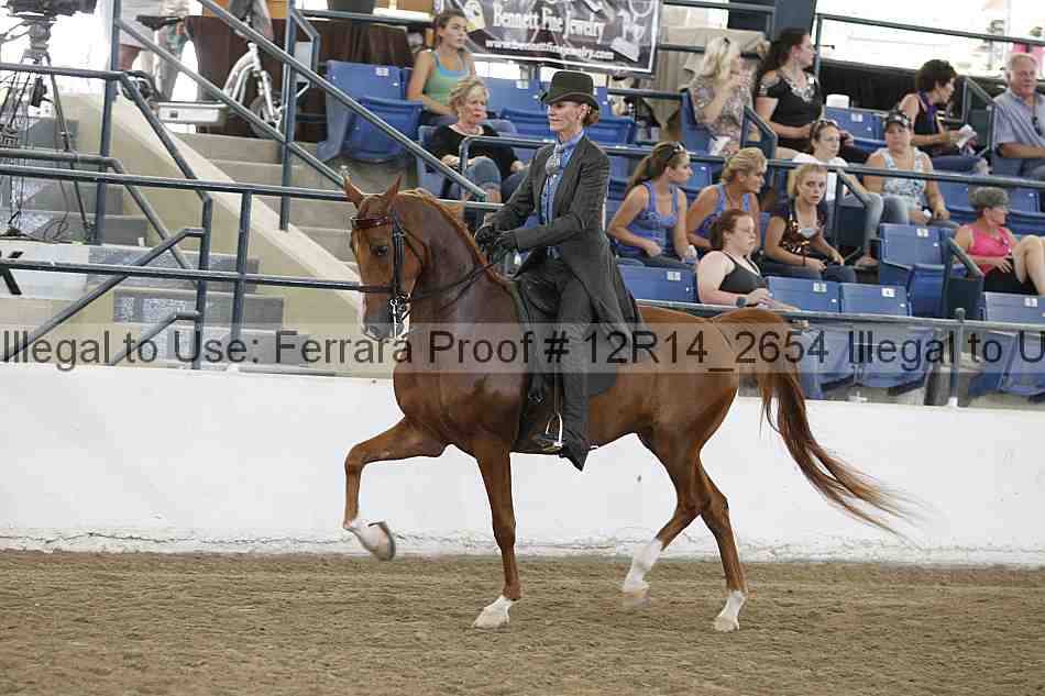 Proof Number 12r14_2654
