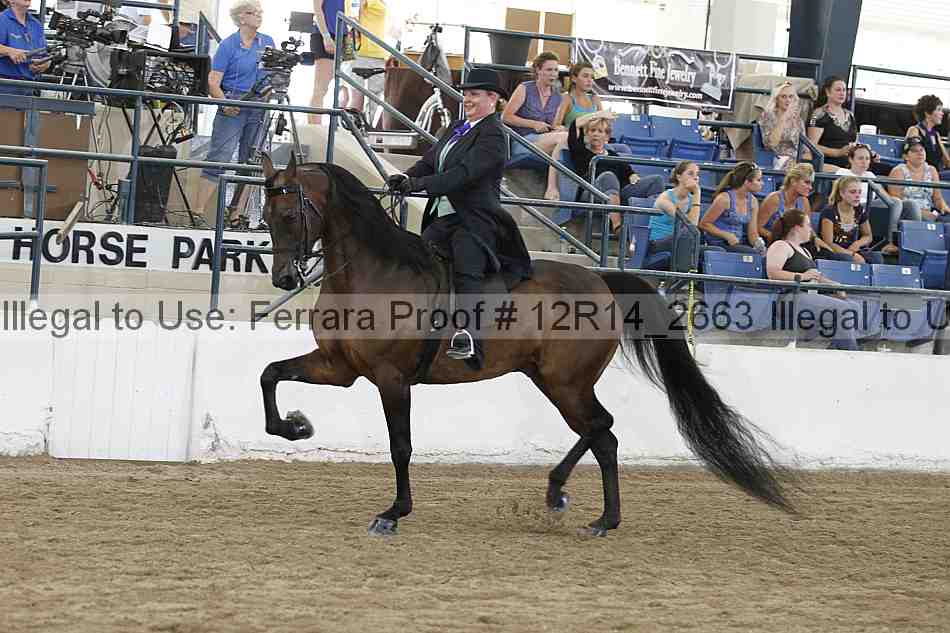 Proof Number 12r14_2663