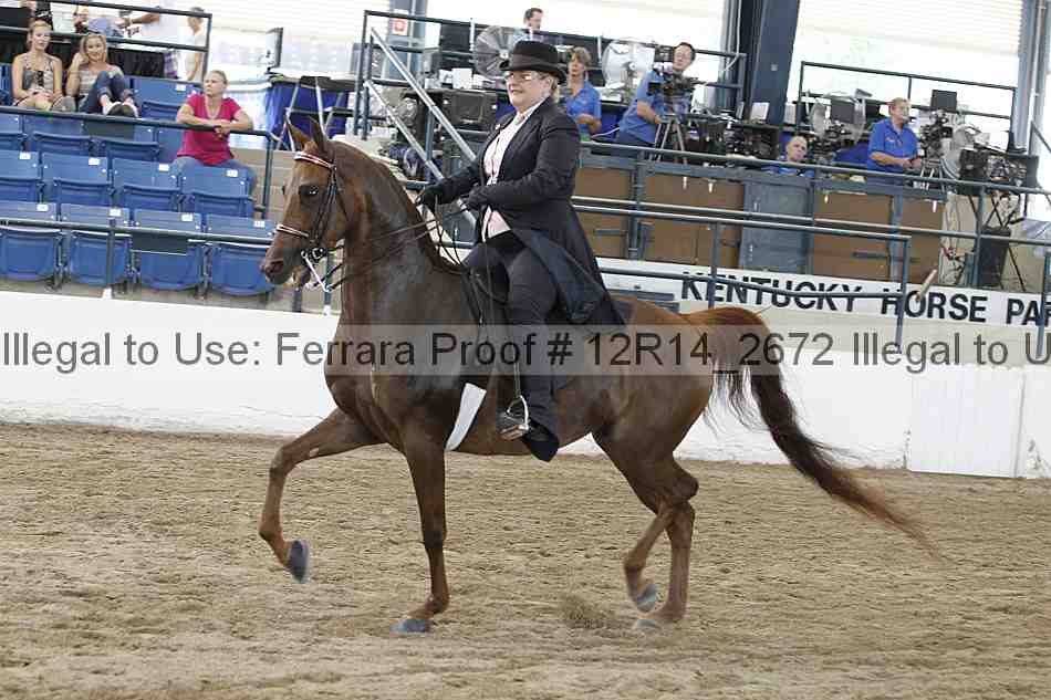 Proof Number 12r14_2672