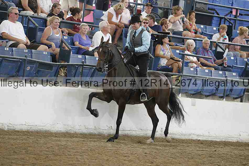 Proof Number 12r14_2674