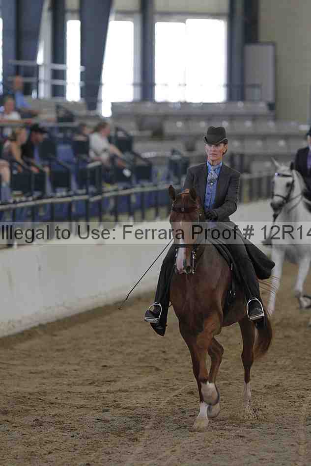Proof Number 12r14_2675