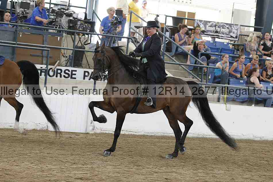 Proof Number 12r14_2677