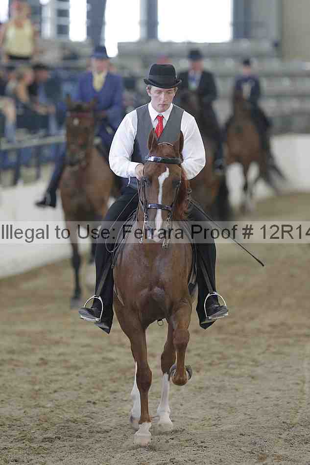 Proof Number 12r14_2680