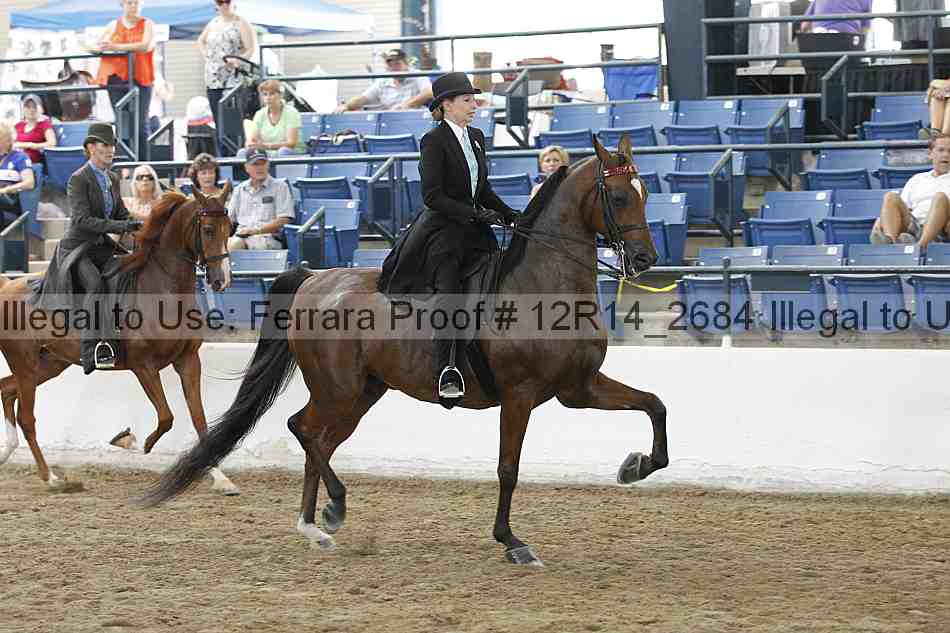 Proof Number 12r14_2684