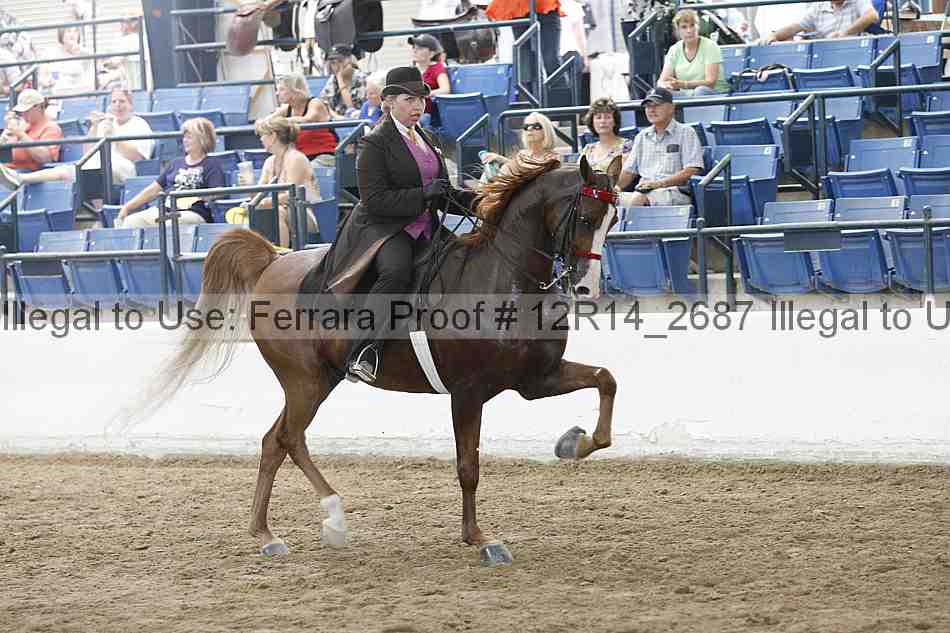 Proof Number 12r14_2687