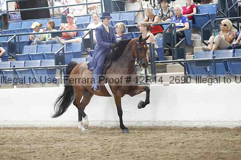 Proof Number 12r14_2690